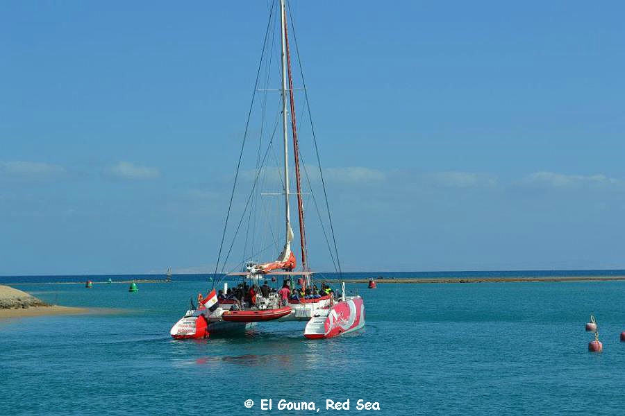 FC Luzern on Ocean Diva 009